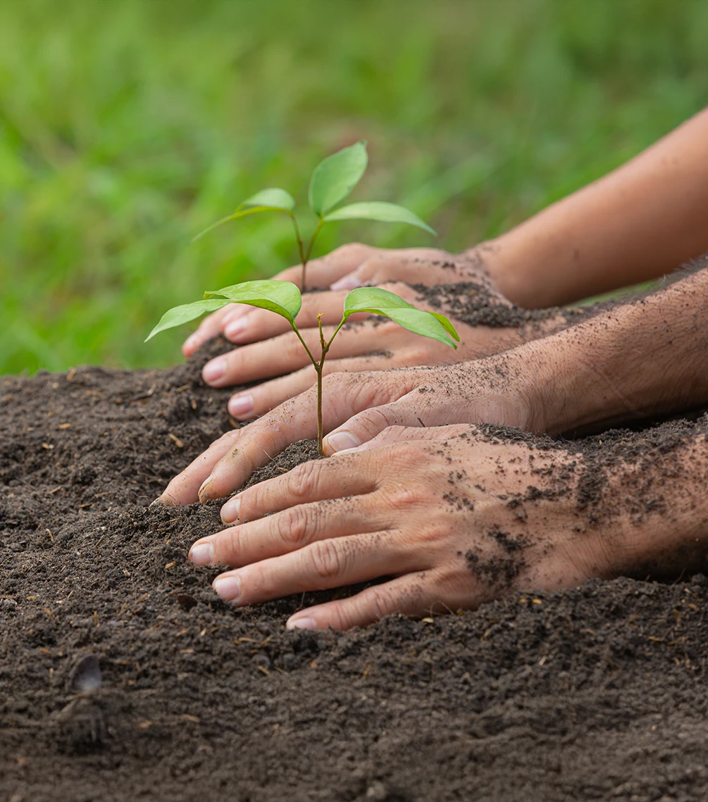 Vínculos Sostenibles Servicios Especializados de Consultoría y Asesoría Empresarial en Bogotá y Colombia