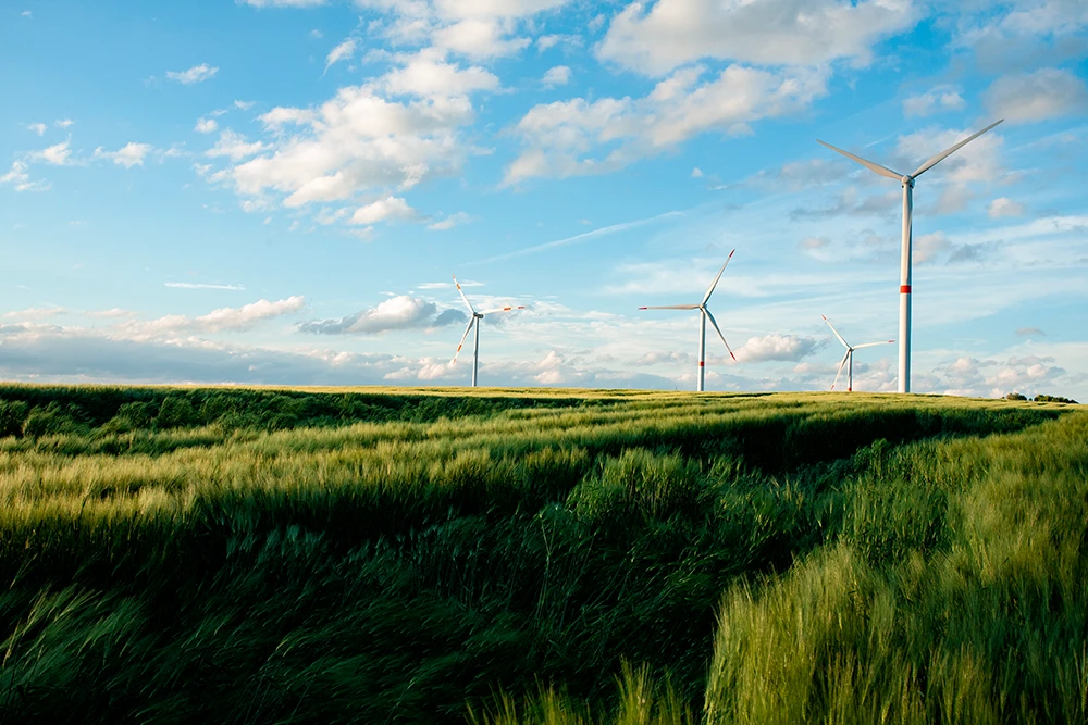 Vínculos Sostenibles Servicios Especializados de Consultoría y Asesoría Empresarial en Bogotá y Colombia