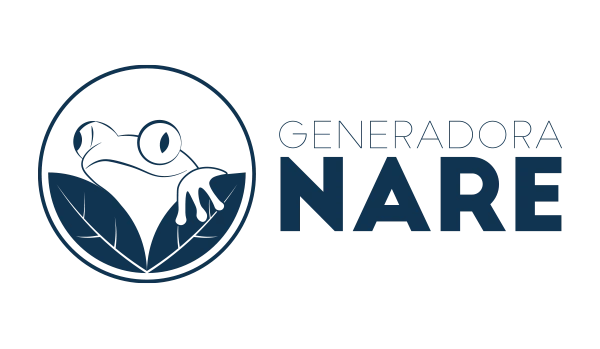 Vínculos Sostenibles Servicios Especializados de Consultoría y Asesoría Empresarial en Bogotá y Colombia